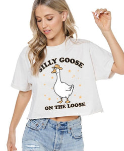 Silly Goose Graphic