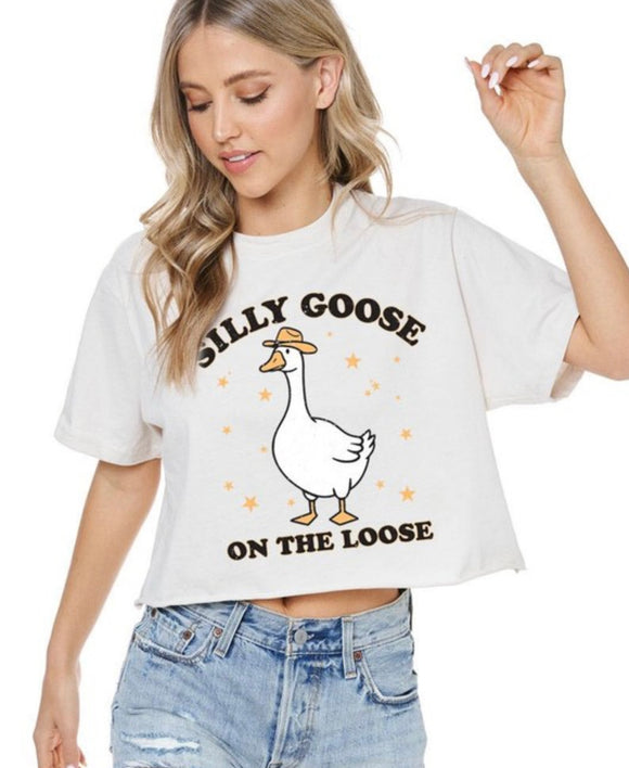 Silly Goose Graphic